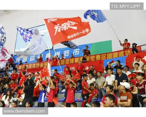 保定足球明星的崛起与辉煌历程探秘，谁是这座城市的骄傲之星