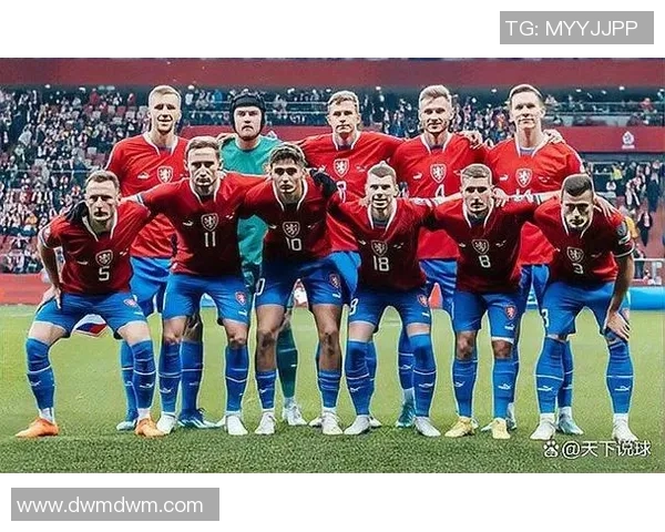 回顾捷克2006年足球明星的辉煌瞬间与赛场传奇 回顾捷克2006年足球明星的辉煌瞬间与赛场传奇