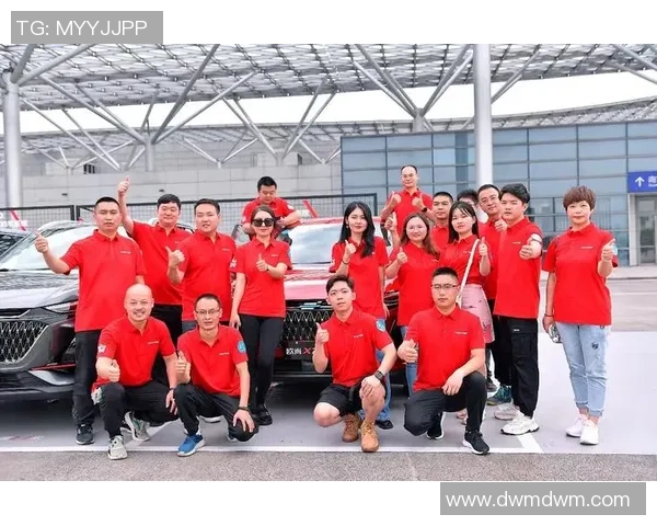 杭州排球队的成长之路精英赛背后的奋斗与荣耀